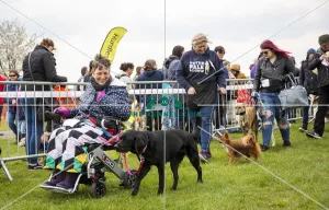 Scruffts Newbury 2019