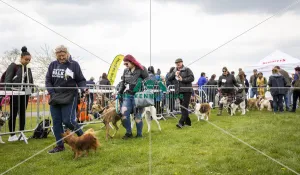 Scruffts Newbury 2019