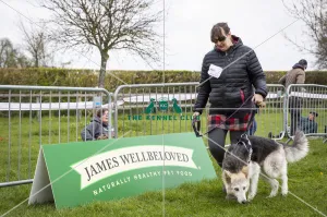 Scruffts Newbury 2019