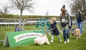 Scruffts Newbury 2019