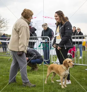 Scruffts Newbury 2019