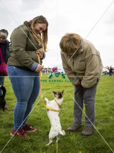 Scruffts Newbury 2019