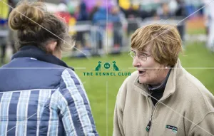 Scruffts Newbury 2019