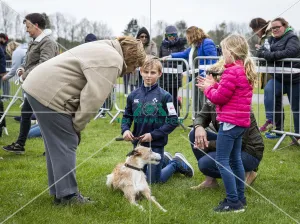 Scruffts Newbury 2019