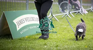 Scruffts Newbury 2019