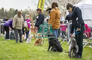 Scruffts Newbury 2019