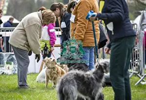 Scruffts Newbury 2019