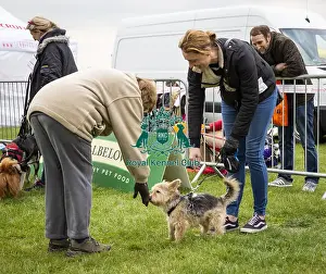Scruffts Newbury 2019