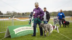 Scruffts Newbury 2019