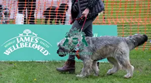 Scruffts Newbury, Berkshire April 2023 Prints: Scruffts Newbury