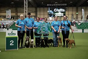 Day 1 Prints: Second place obreedience Super Staffords