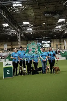 Day 1 Prints: Second place obreedience Super Staffords