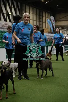 Day 1 Prints: Second place obreedience Super Staffords