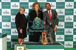 Sergio Amien from Spain, with Connon, a Yorkshire Terrier, which was the Best in Group winner today (Sunday 12. 03. 23), the last day of Crufts 2023, at the NEC Birmingham. Sergio Amien from Spain, with Connon, a Yorkshire Terrier