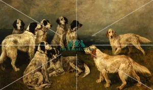 Sir Humphrey de Traffords English Setters Sir Humphrey de Traffords English Setters