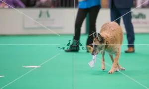 Smeller