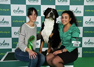 Official photos from Crufts 2023: Sorignet Stephanie and Tansi Ylane from France with Mook, a Great Swiss Mountain Dog
