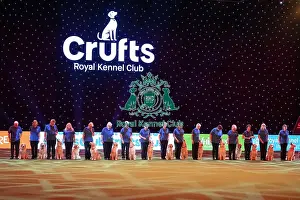Crufts 2026 Main Arena Prints: Southern Golden Retriever Display Team