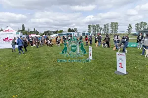 Sponsors Name Scruffts Heat Most Handsome Dog Class