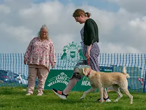 North East Dog Festival 2024 Prints: Sponsors Name Scruffts Heats Judging Scruffts Family Crossbreed Of The Year Competition