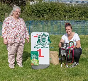 North East Dog Festival 2024 Prints: Sponsors Name Scruffts Heats Scruffts Family Crossbreed Of The Year Competition
