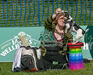 North East Dog Festival 2024 Prints: Sponsors Name Scruffts Heats Scruffts Family Crossbreed Of The Year Competition