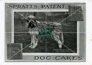 Spratts Patent Dog Cakes