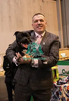 Staffordshire Bull Terrier and handler