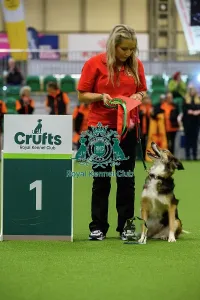 Crufts 2026 Rally Prints: Stephanie with Savvy, Winners of the Inter-Regional Rally Competition today (05)