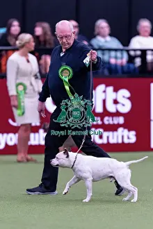 Staffordshire Bull Terrier Prints: Steve Halifax, from Doncaster, with Rio