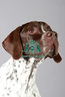 stock images, stock, KCPL, KCPL_Stock, commerical