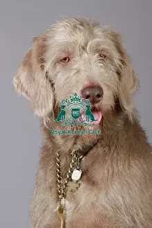 stock images, stock, KCPL, KCPL_Stock, commerical