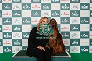Irish Setter Prints: Sue Edwards from Eversley, Hampshire with Keira