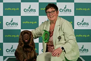 Official photos from Crufts 2023: Sue Mowbray from Morpeth with Luna, a Sussex Spaniel, which was the Best of Breed winner today