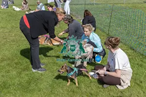 Sunday 15th September 2024 Prints: Sunday 15th September 2024 Detling Showground