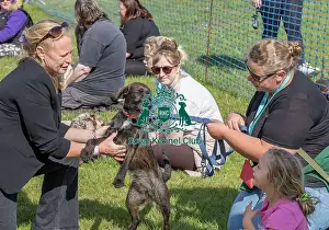 Judging Prints: Sunday 15th September 2024 Detling Showground