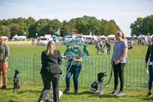 Judging Prints: Sunday 15th September 2024 Detling Showground