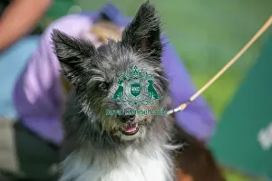 Dog Only Prints: Sunday 15th September 2024, Dog Only