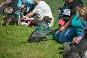 General Ring Pictures Prints: Sunday 15th September 2024, Kent