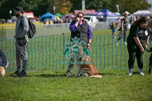 General Ring Pictures Prints: Sunday 15th September 2024, Kent