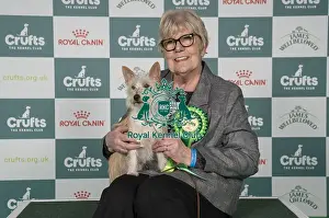 Portuguese Podengo Warren Hound Prints: Susan Bruntle, from Sussex, with Treacle