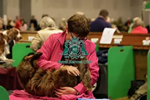 Sussex Spaniel
