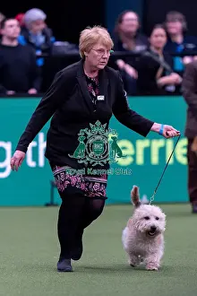 Suzanne Williams, from Sweden, with Tracker
