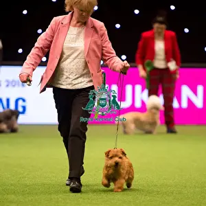 Terrier Group