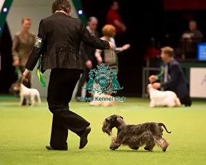 Terrier Group