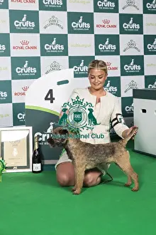 Crufts 2025 Best In Group Prints: Terrier Group 4