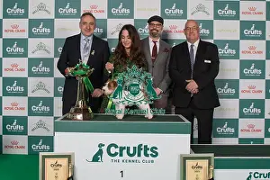 Terrier Group Winner