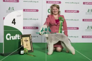 Terrier Group - winner