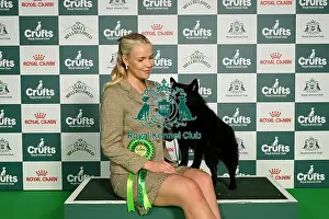 Schipperke Prints: Tilda Rinne from Finland, with Marran