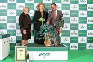 Toy Group Prints: Toy Group 2nd Place Crufts 2023